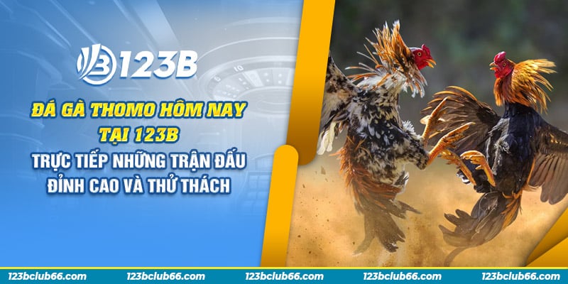 Đá gà thomo hôm nay tại 123B: Trực tiếp những trận đấu đỉnh cao và thử thách 1 69 da ga thomo hom nay tai 123b truc tiep nhung tran dau dinh cao va thu thach
