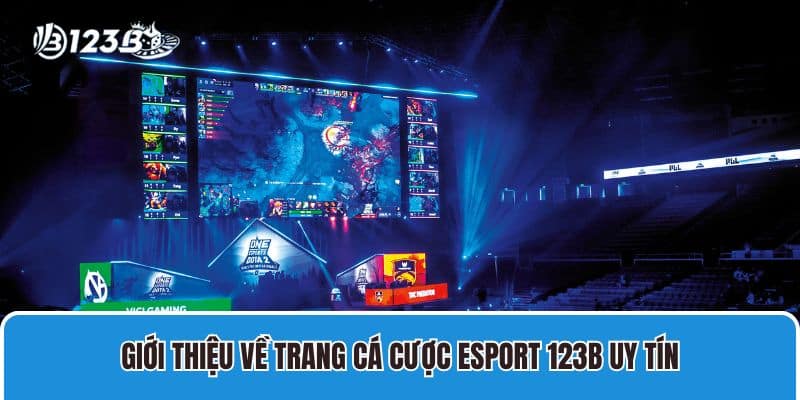 Giới Thiệu Về Trang Cá Cược Esport 123B Uy tín nhất hiện nay 1 Giới thiệu về trang cá cược esport 123B uy tín